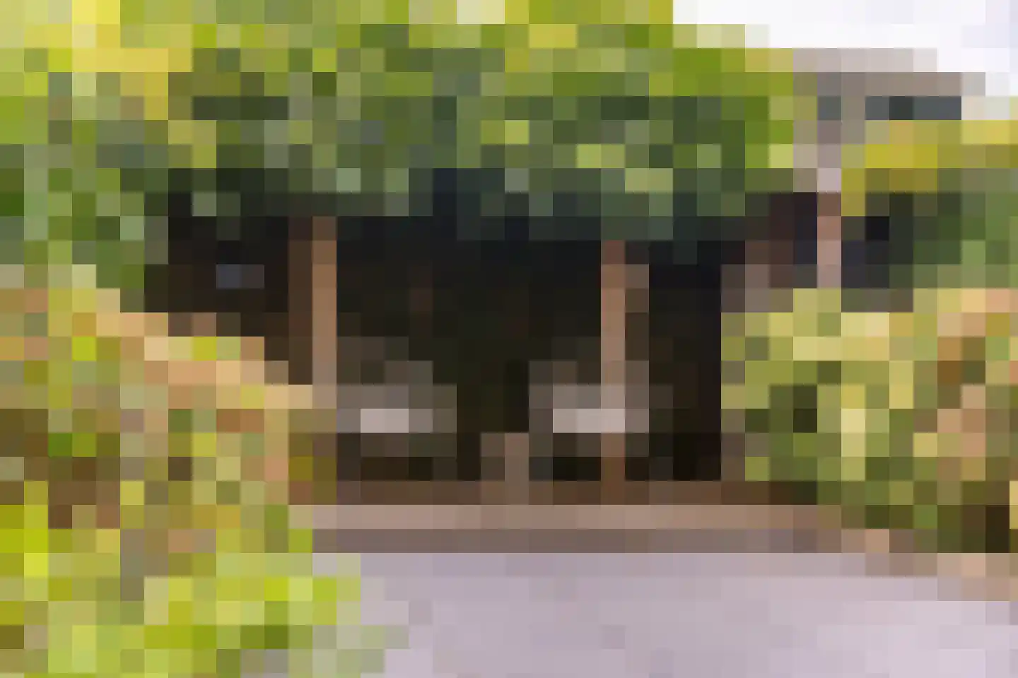 Welnahorst 4 Enschede thumbnail 32