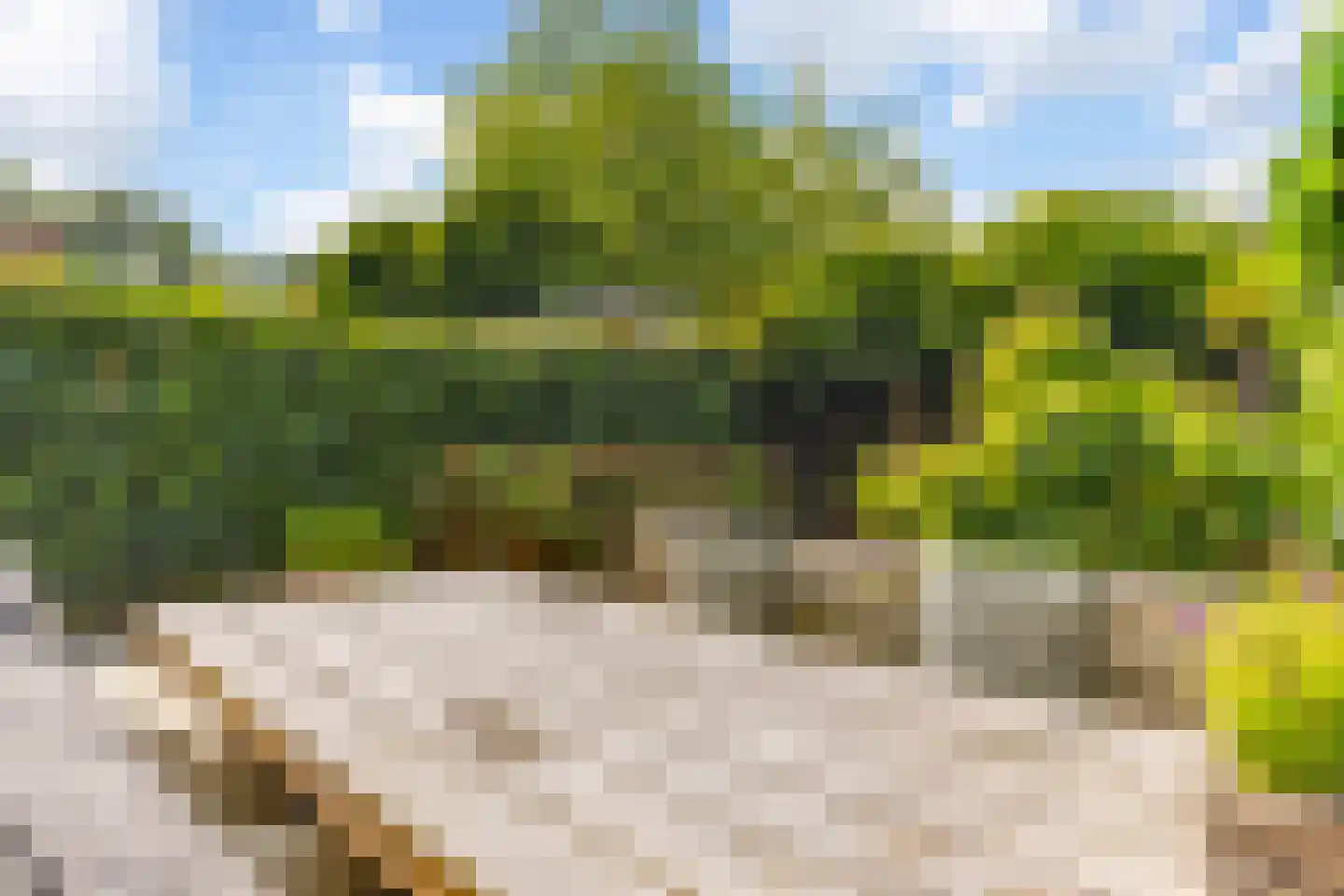 Welnahorst 4 Enschede thumbnail 34