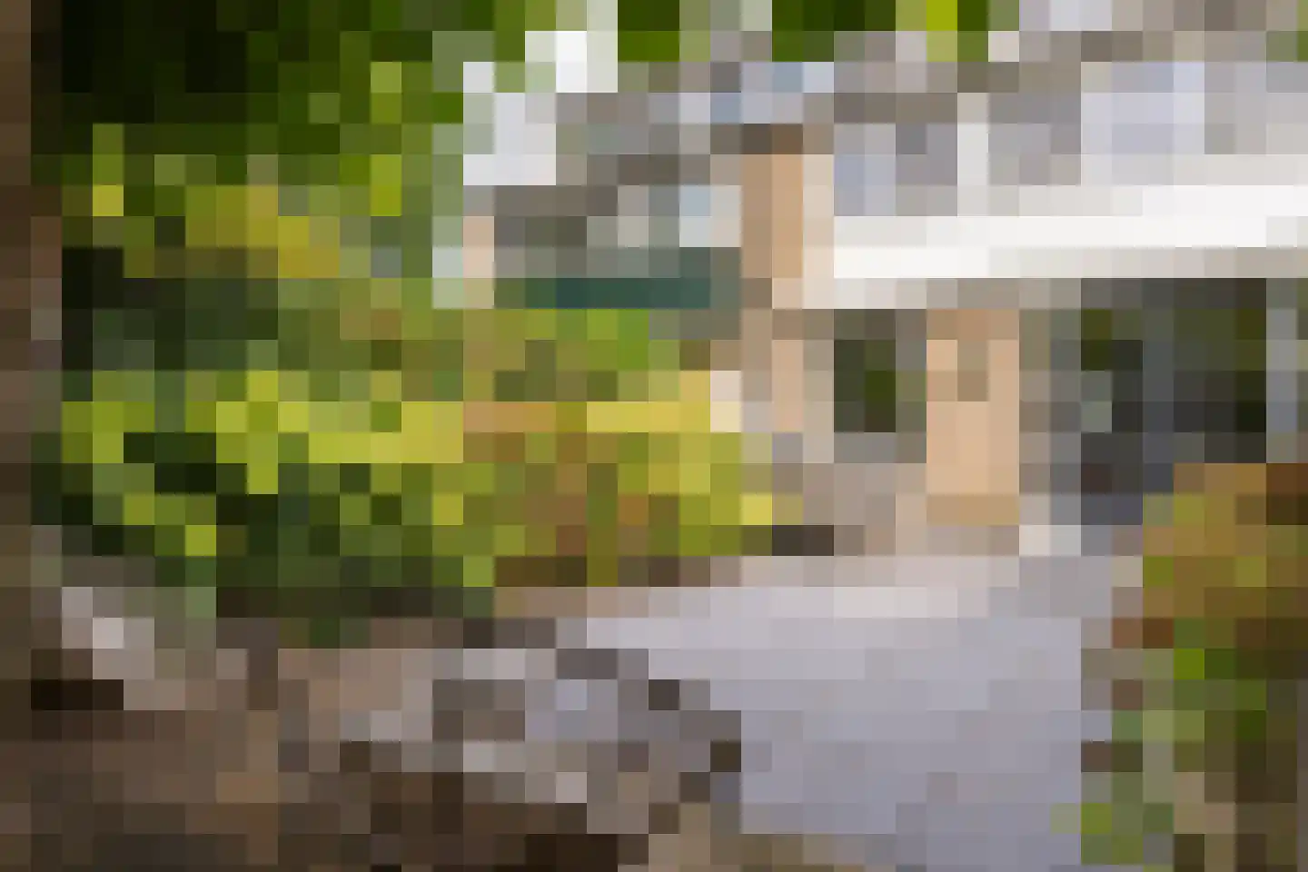 Welnahorst 4 Enschede thumbnail 35