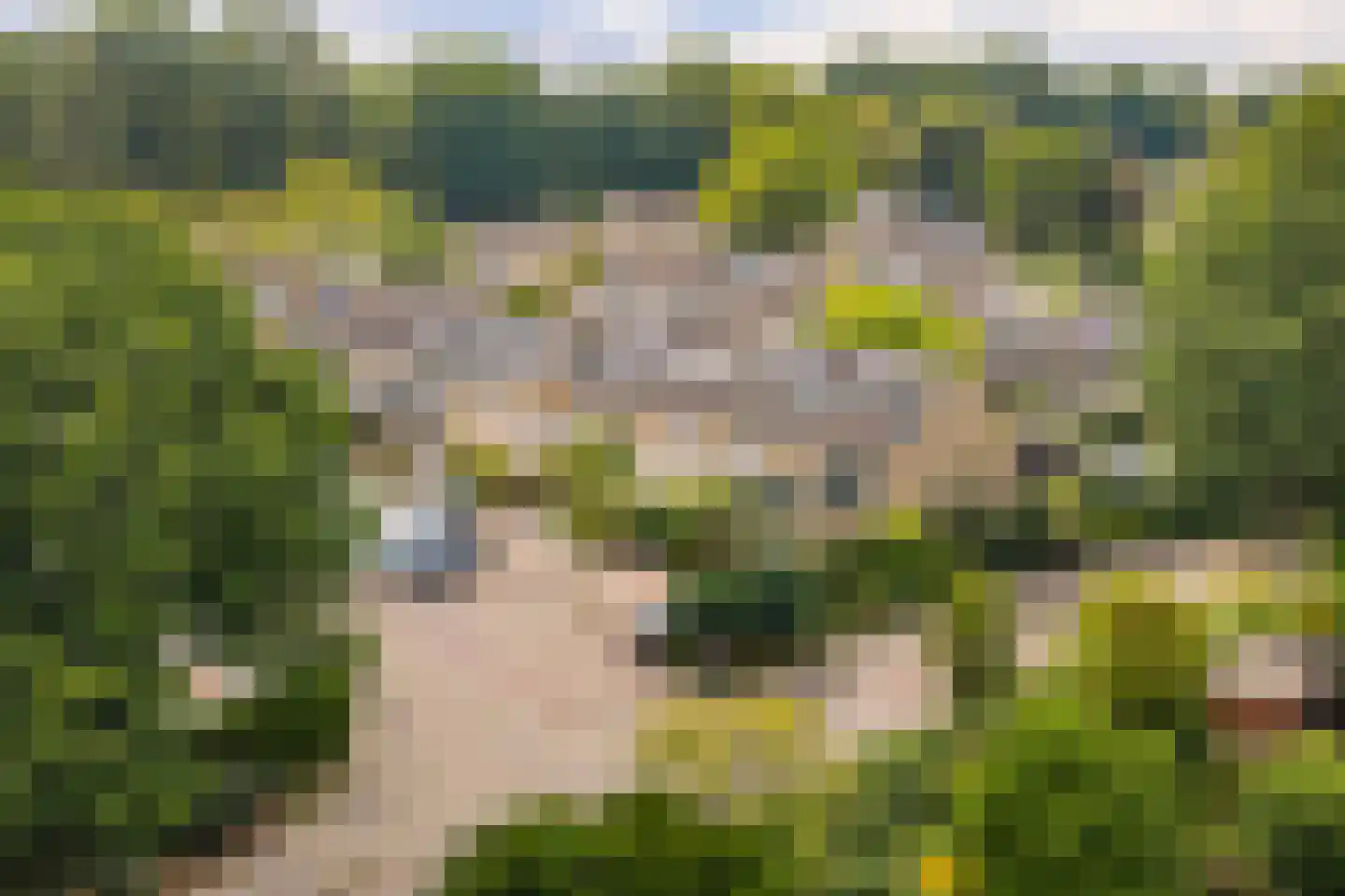 Welnahorst 4 Enschede thumbnail 42