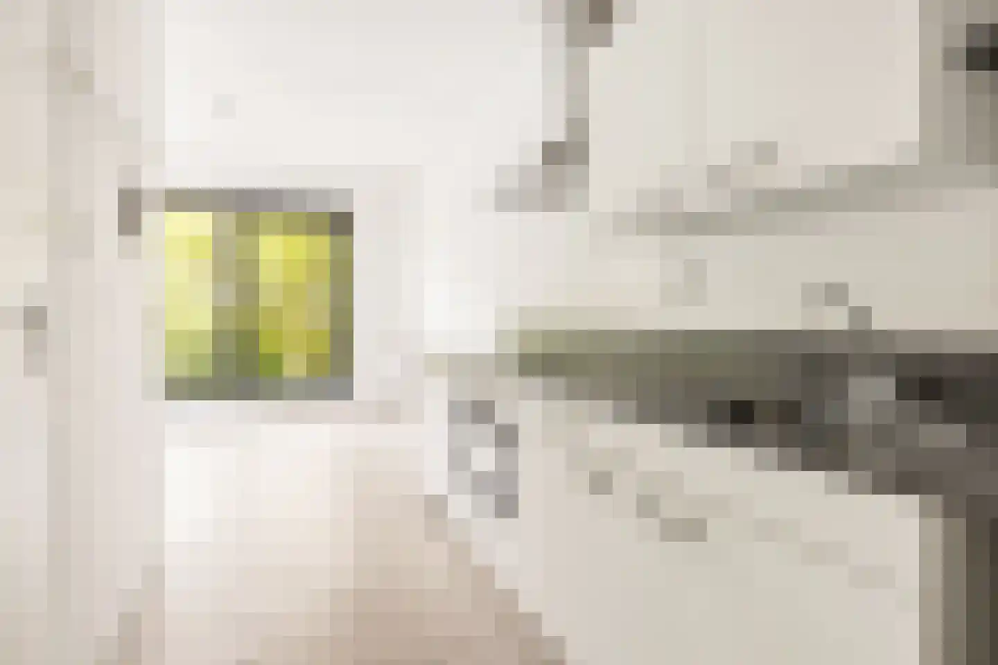 Welnastraat 1 Amsterdam thumbnail 9