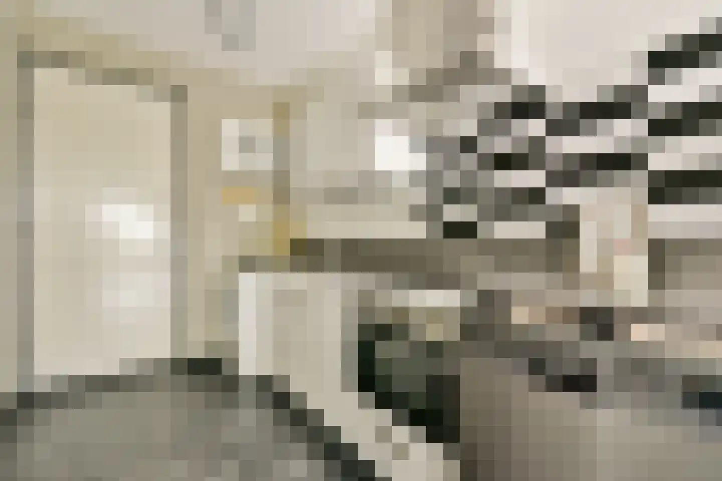 Welnastraat 135 Amsterdam thumbnail 10