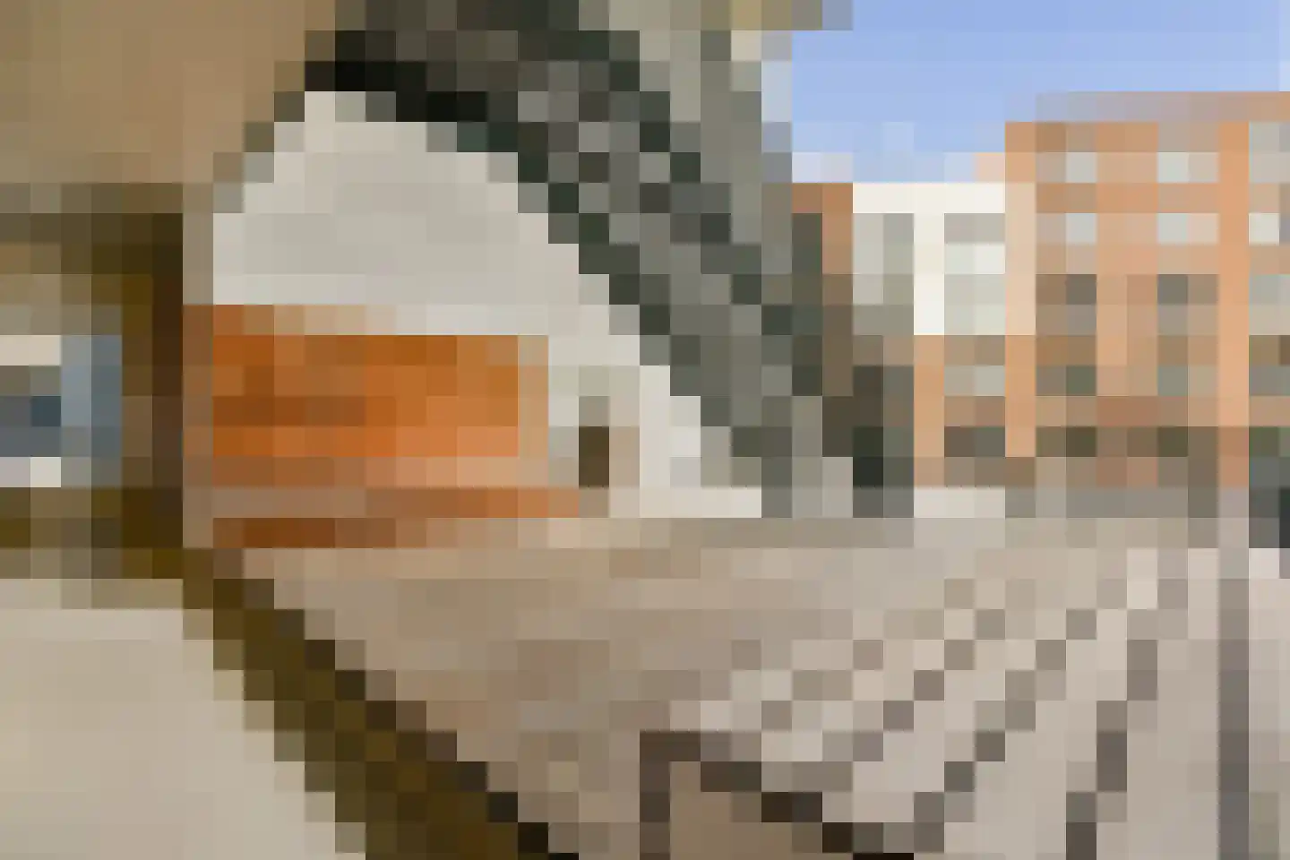 Welnastraat 135 Amsterdam thumbnail 14