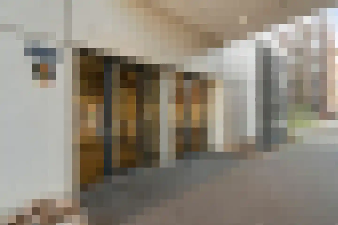 Welnastraat 157 Amsterdam thumbnail 27