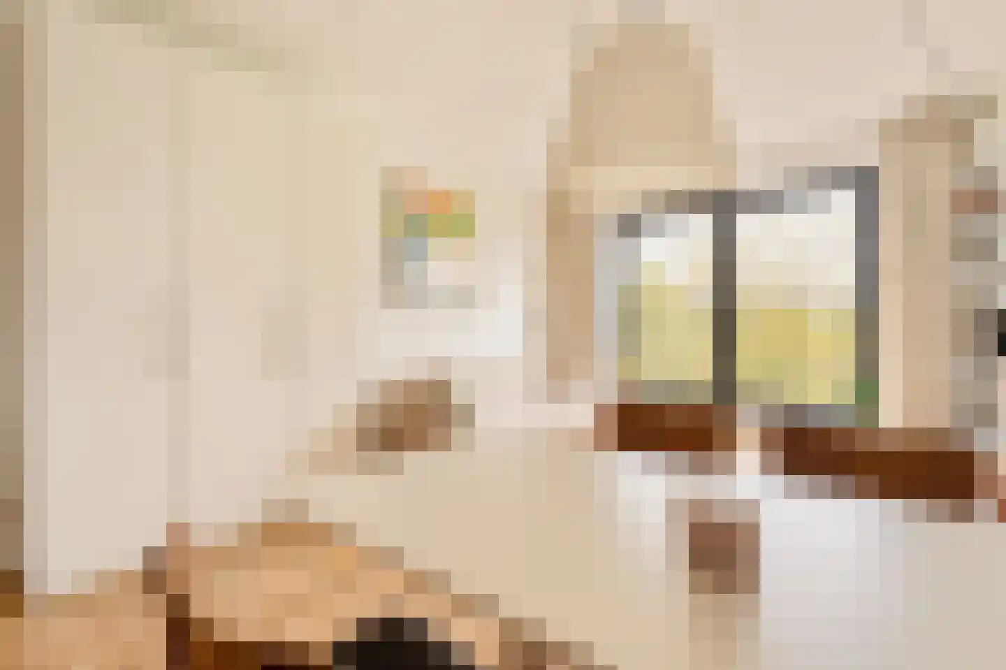 Welnastraat 219 Amsterdam thumbnail 14