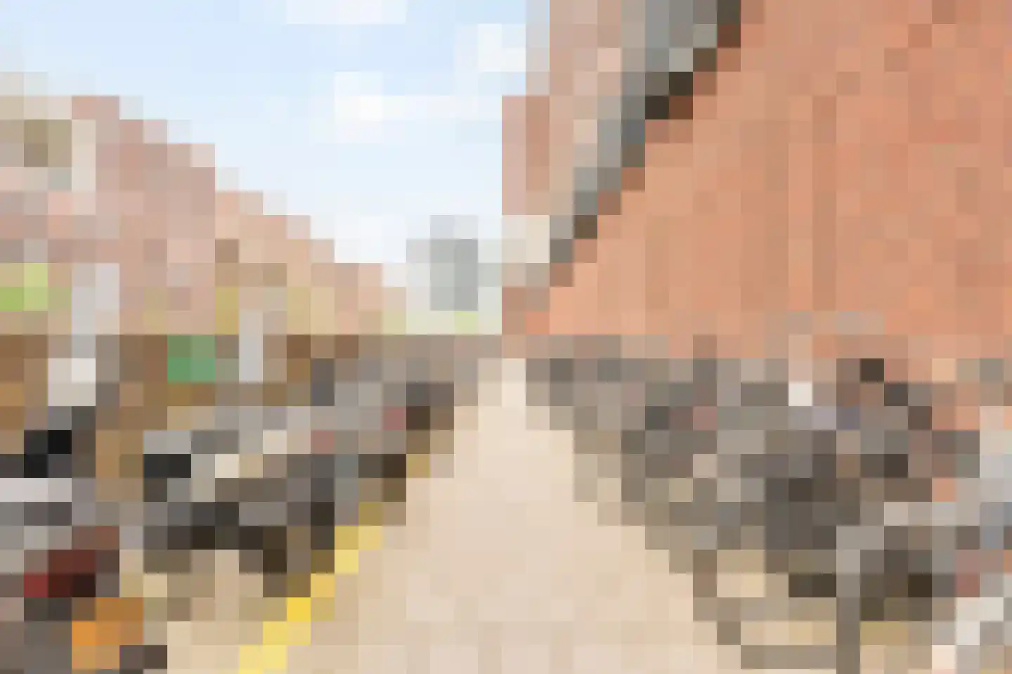 Welnastraat 219 Amsterdam thumbnail 29