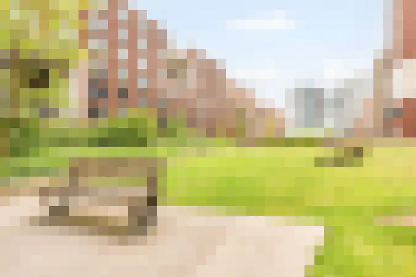 Welnastraat 219 Amsterdam thumbnail 30