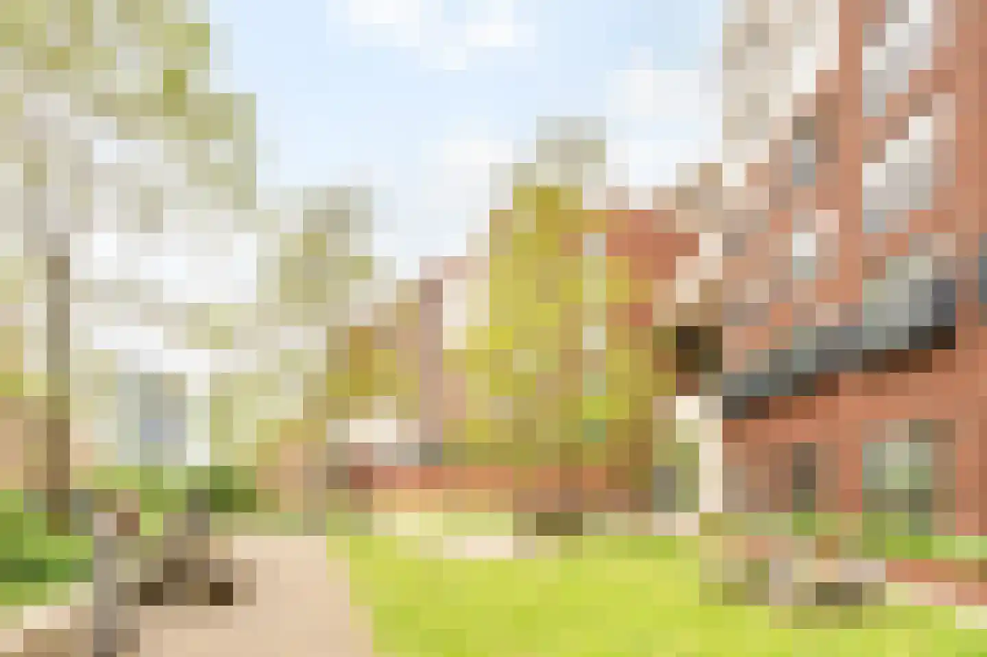 Welnastraat 219 Amsterdam thumbnail 31