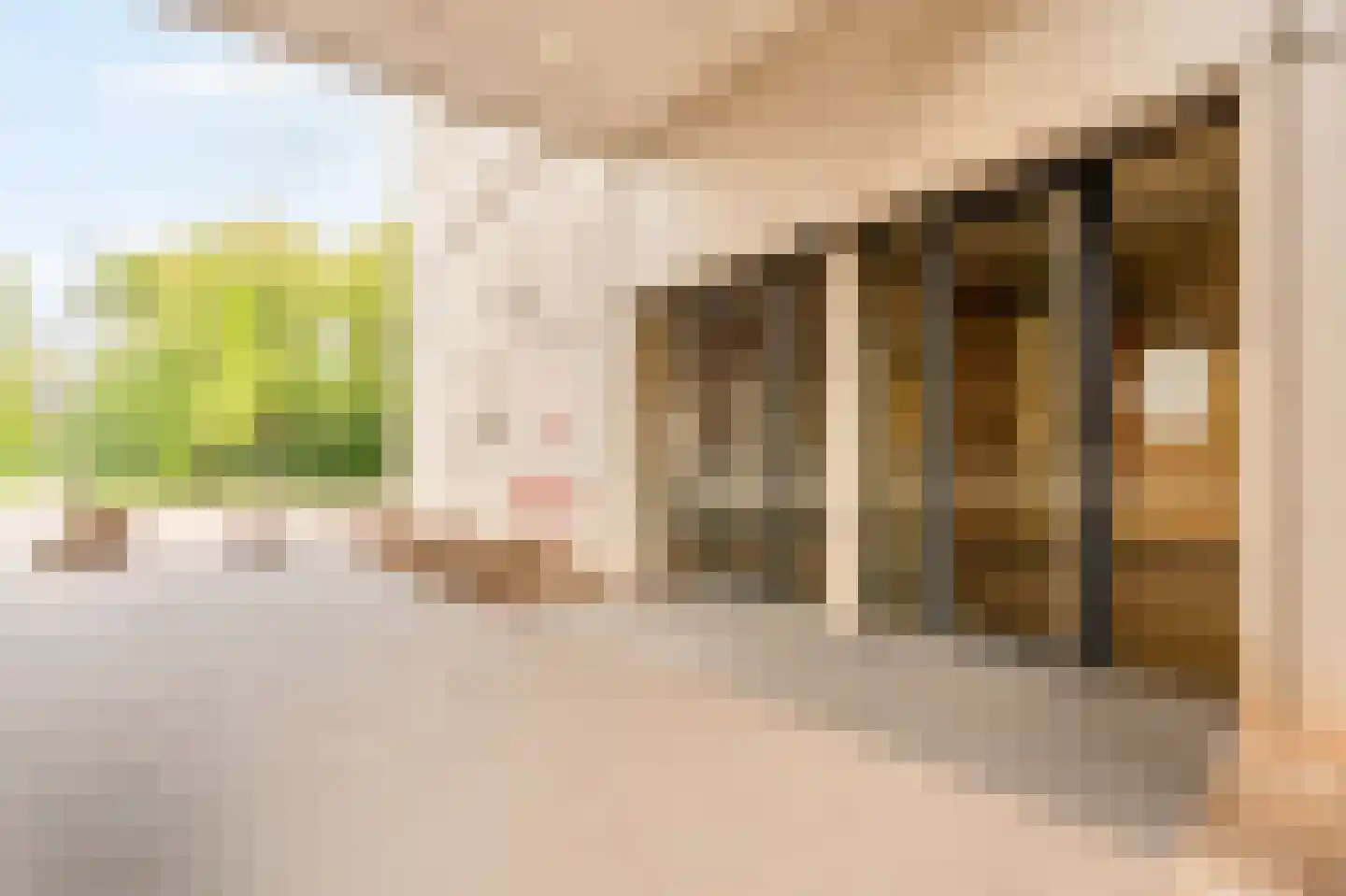 Welnastraat 219 Amsterdam thumbnail 6