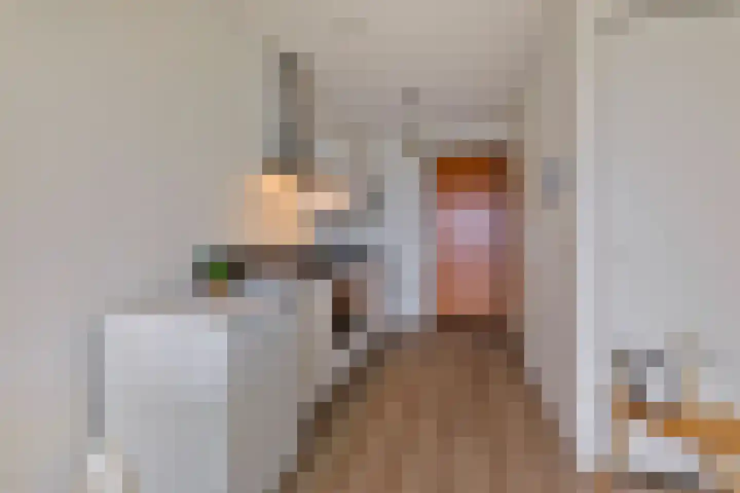 Welnastraat 221 Amsterdam thumbnail 13