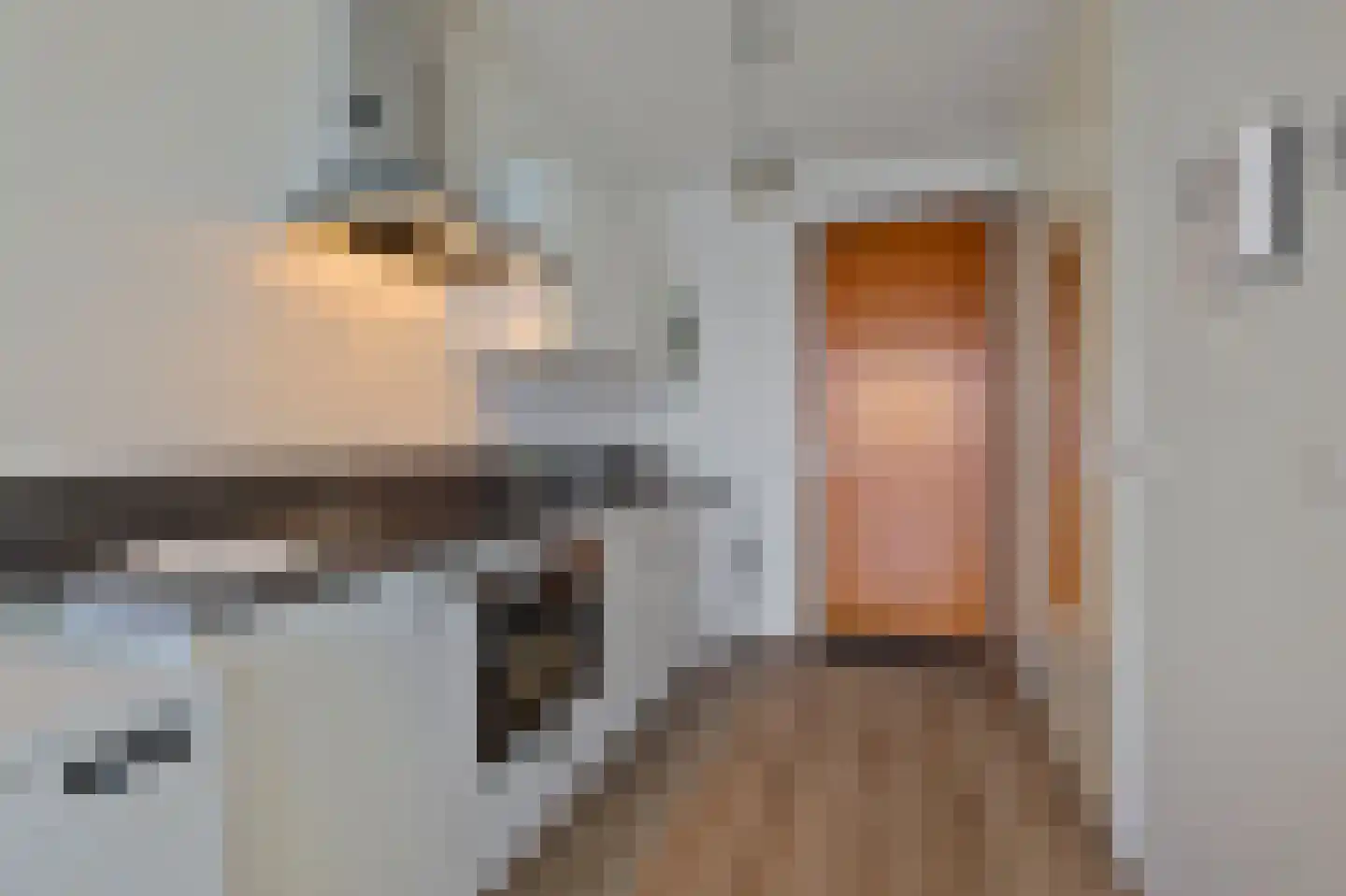 Welnastraat 221 Amsterdam thumbnail 15