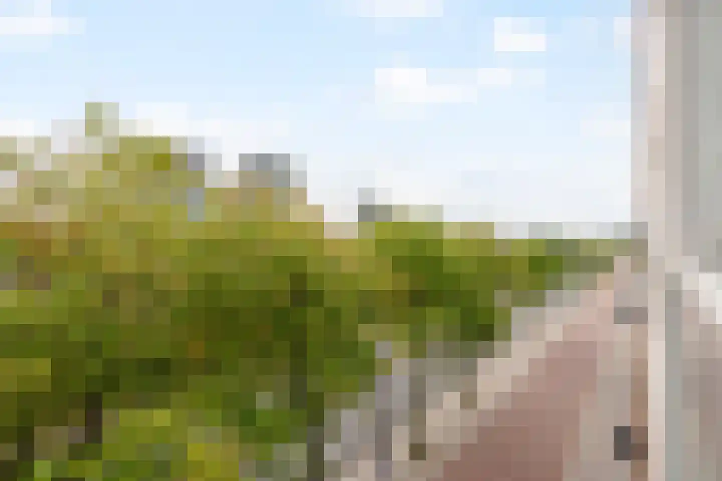 Welnastraat 223 Amsterdam thumbnail 15
