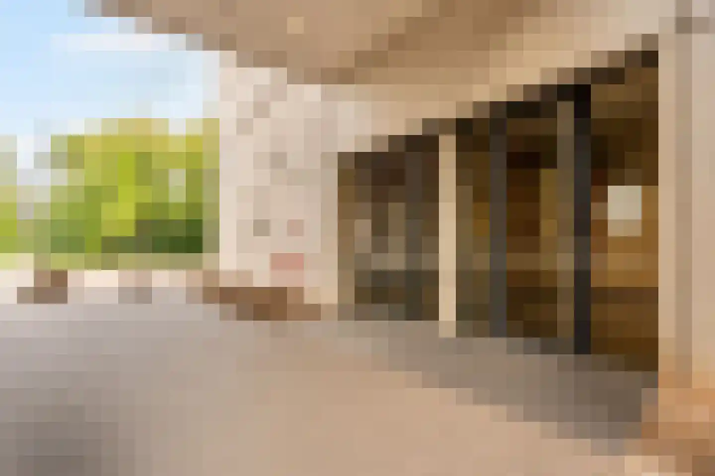 Welnastraat 223 Amsterdam thumbnail 6