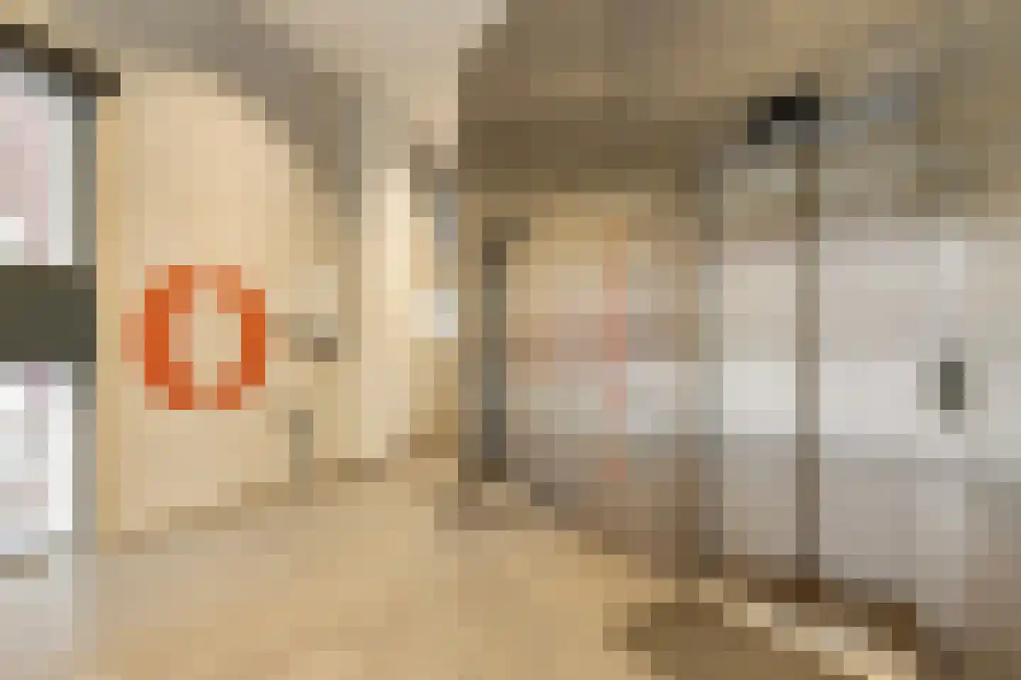 Welnastraat 223 Amsterdam thumbnail 7