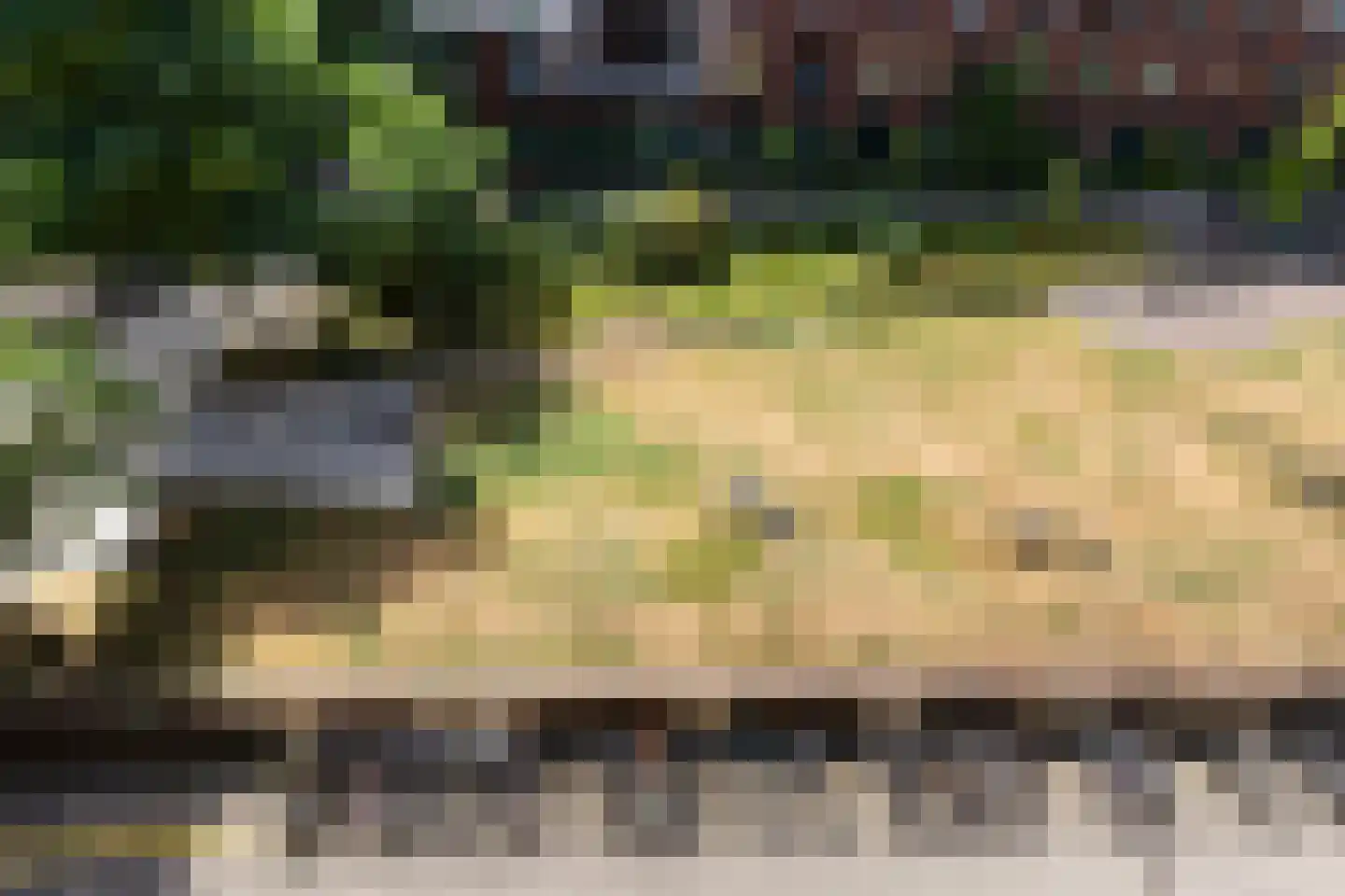 Welnastraat 255 Amsterdam thumbnail 17