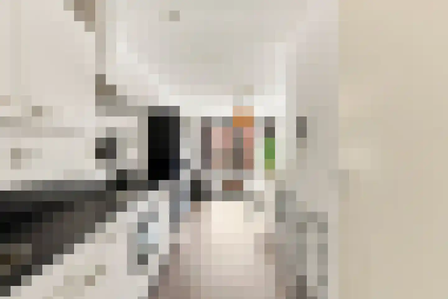 Welnastraat 255 Amsterdam thumbnail 6