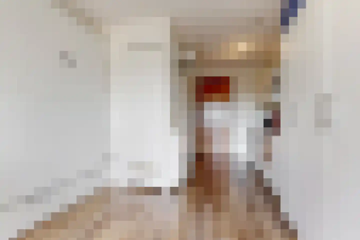 Welnastraat 283 Amsterdam thumbnail 4