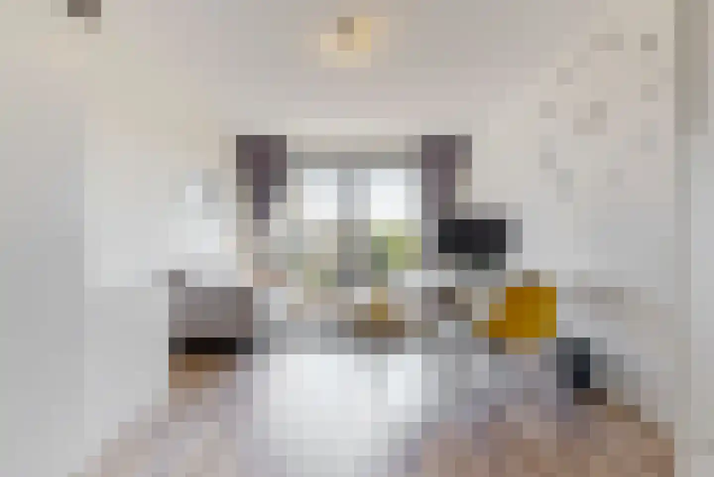 Welnastraat 283 Amsterdam thumbnail 8