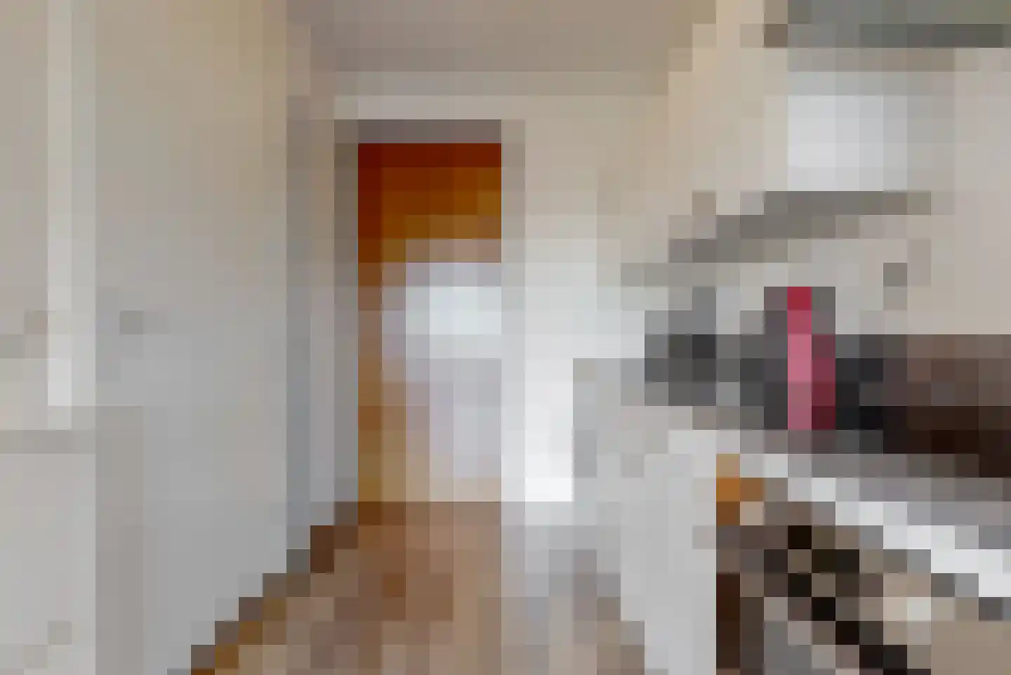 Welnastraat 283 Amsterdam thumbnail 9