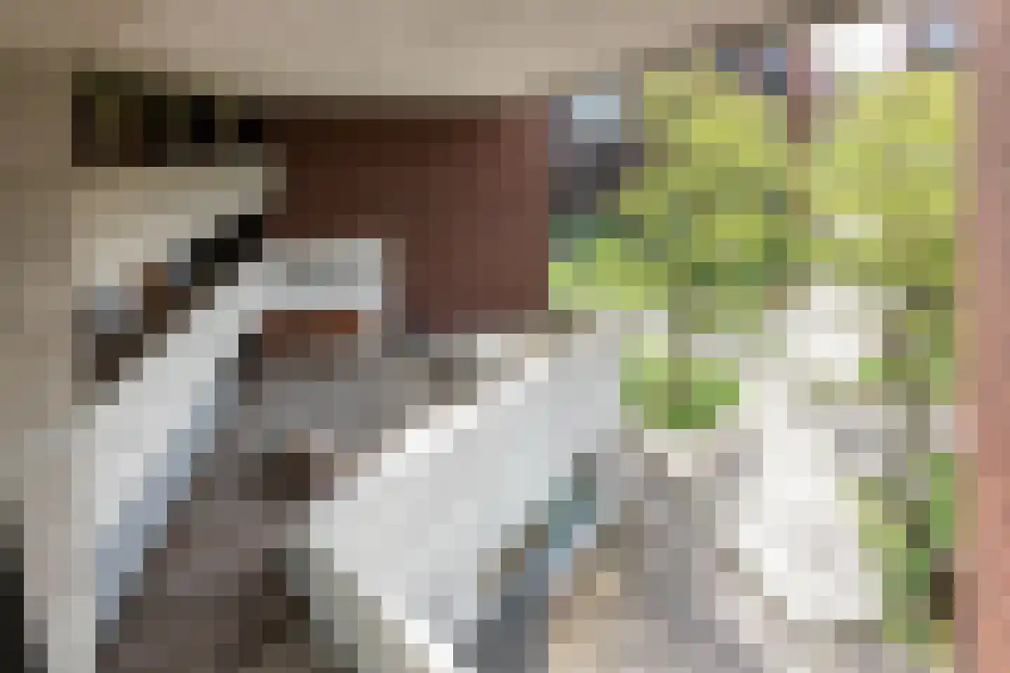 Welnastraat 293 Amsterdam thumbnail 7