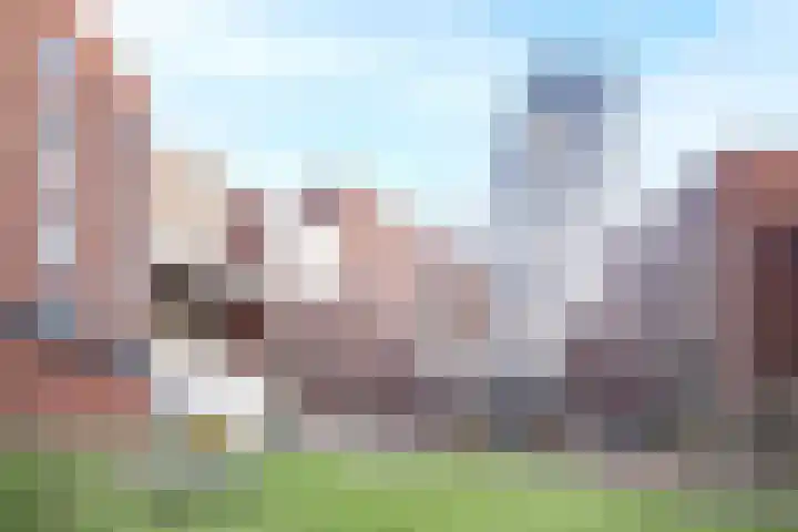 Welnastraat 305 Amsterdam thumbnail 31