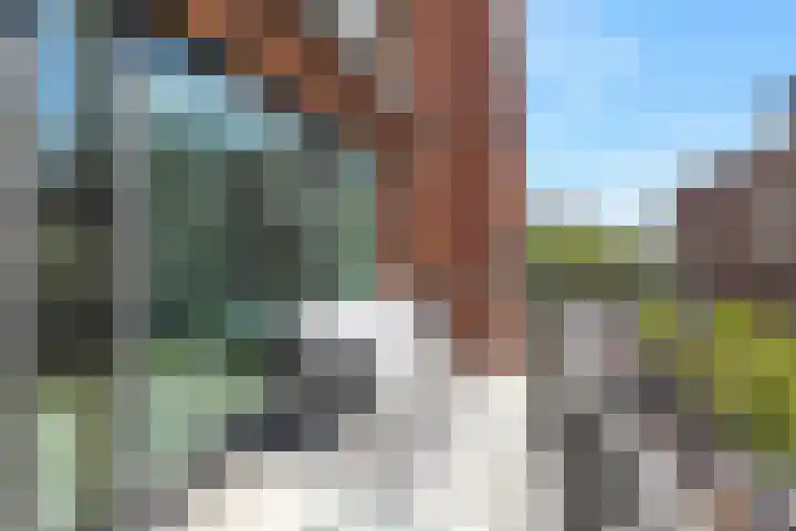 Welnastraat 310 Amsterdam thumbnail 22