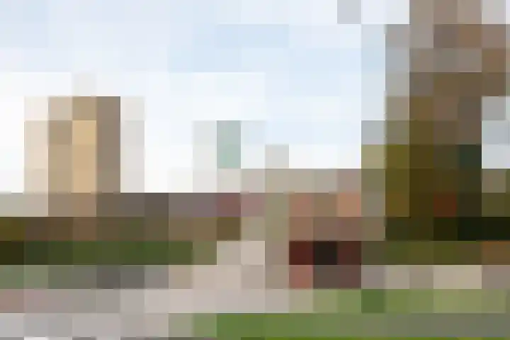 Welnastraat 348 Amsterdam thumbnail 43