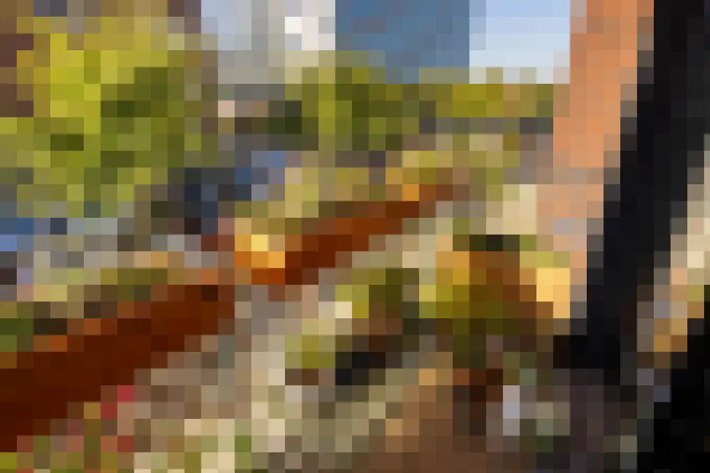 Welnastraat 358 Amsterdam thumbnail 22