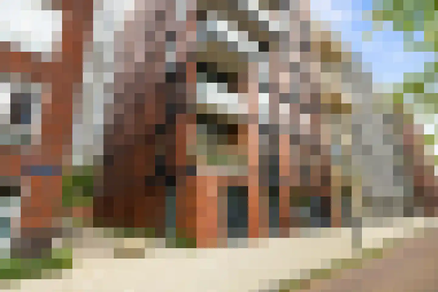 Welnastraat 358 Amsterdam thumbnail 44