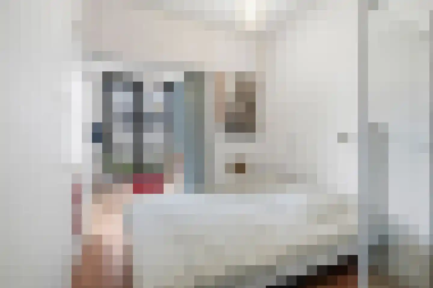 Welnastraat 368 Amsterdam thumbnail 13