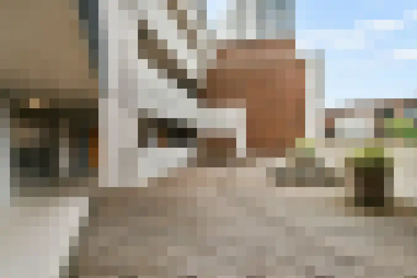Welnastraat 377 Amsterdam thumbnail 4