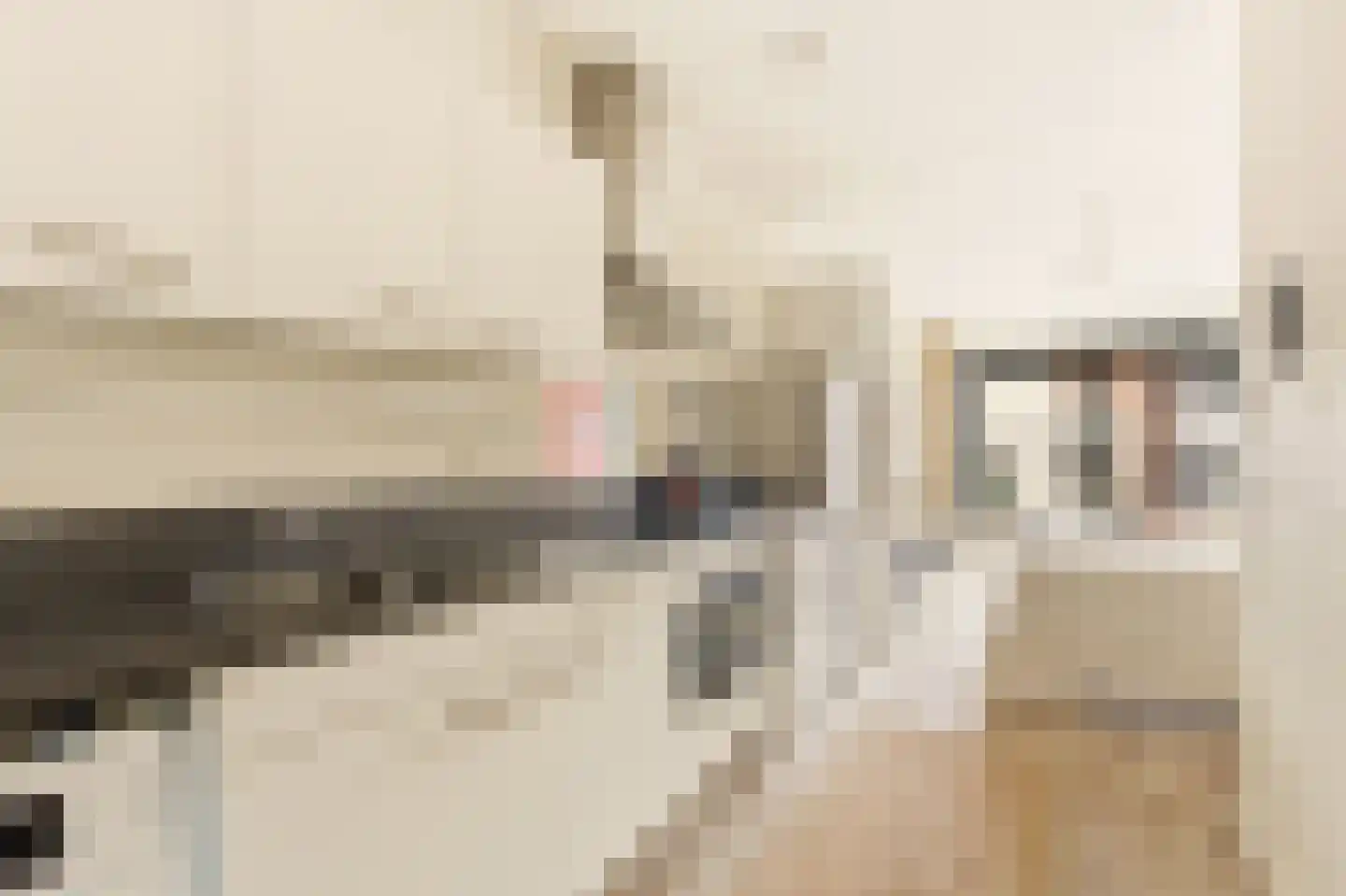 Welnastraat 427 Amsterdam thumbnail 11