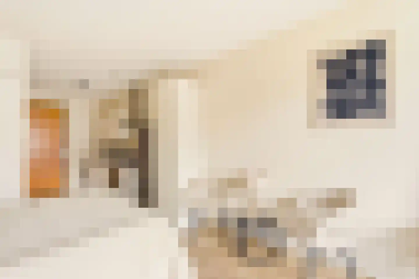 Welnastraat 427 Amsterdam thumbnail 8