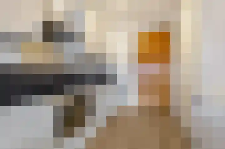 Welnastraat 457 Amsterdam thumbnail 9