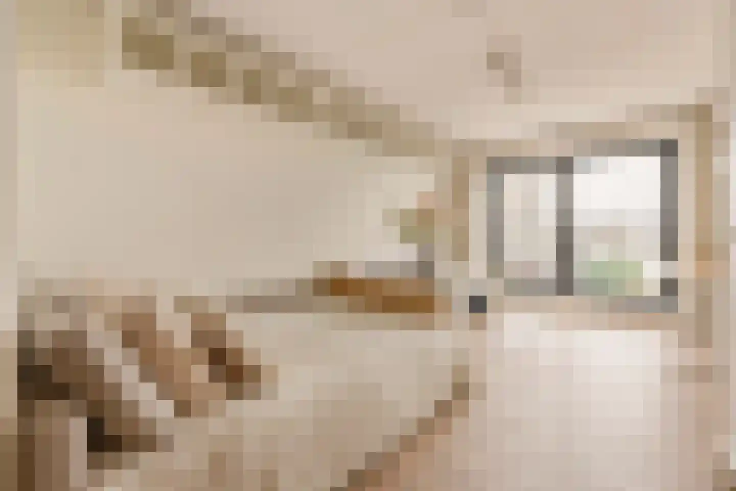 Welnastraat 489 Amsterdam thumbnail 12