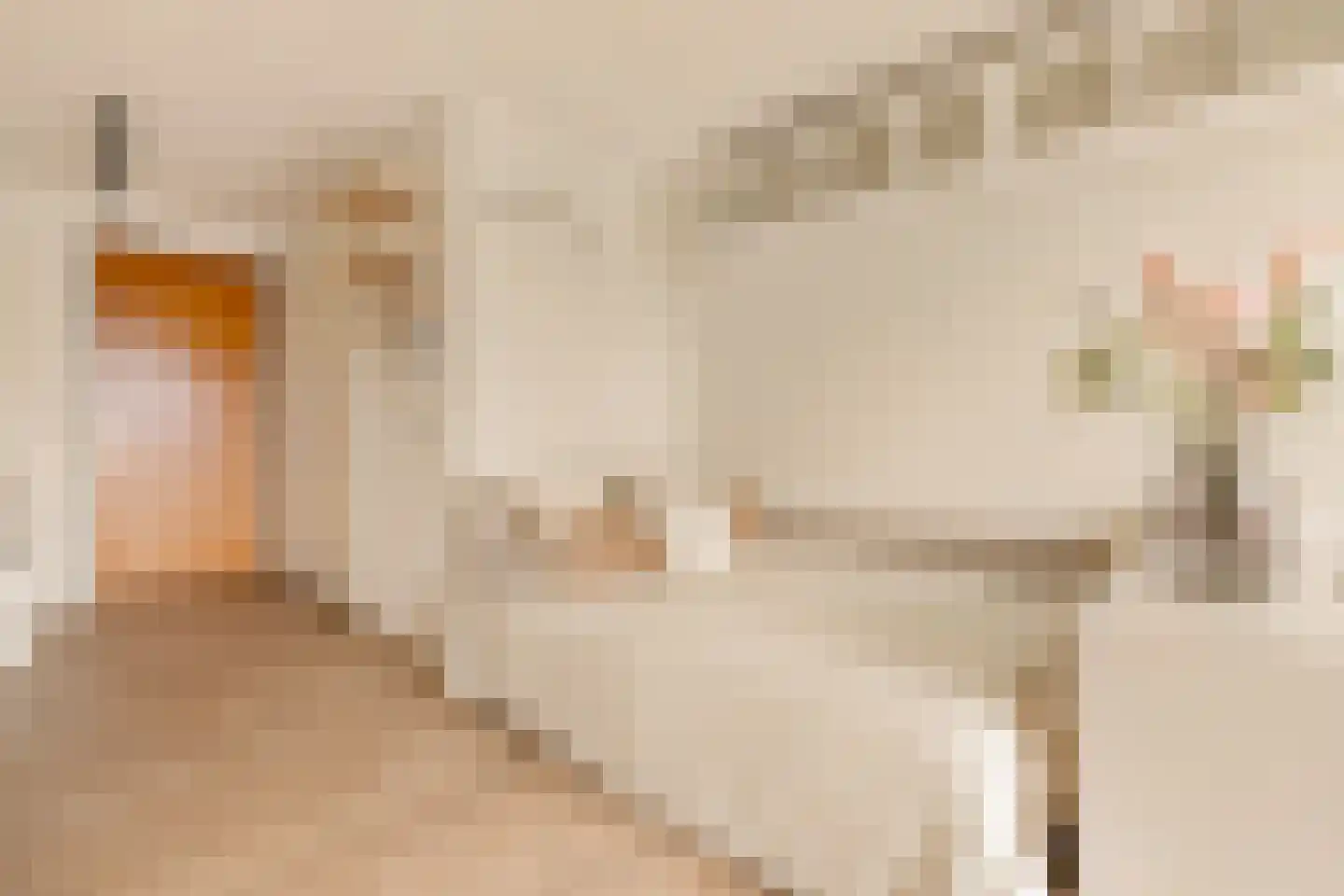 Welnastraat 489 Amsterdam thumbnail 13
