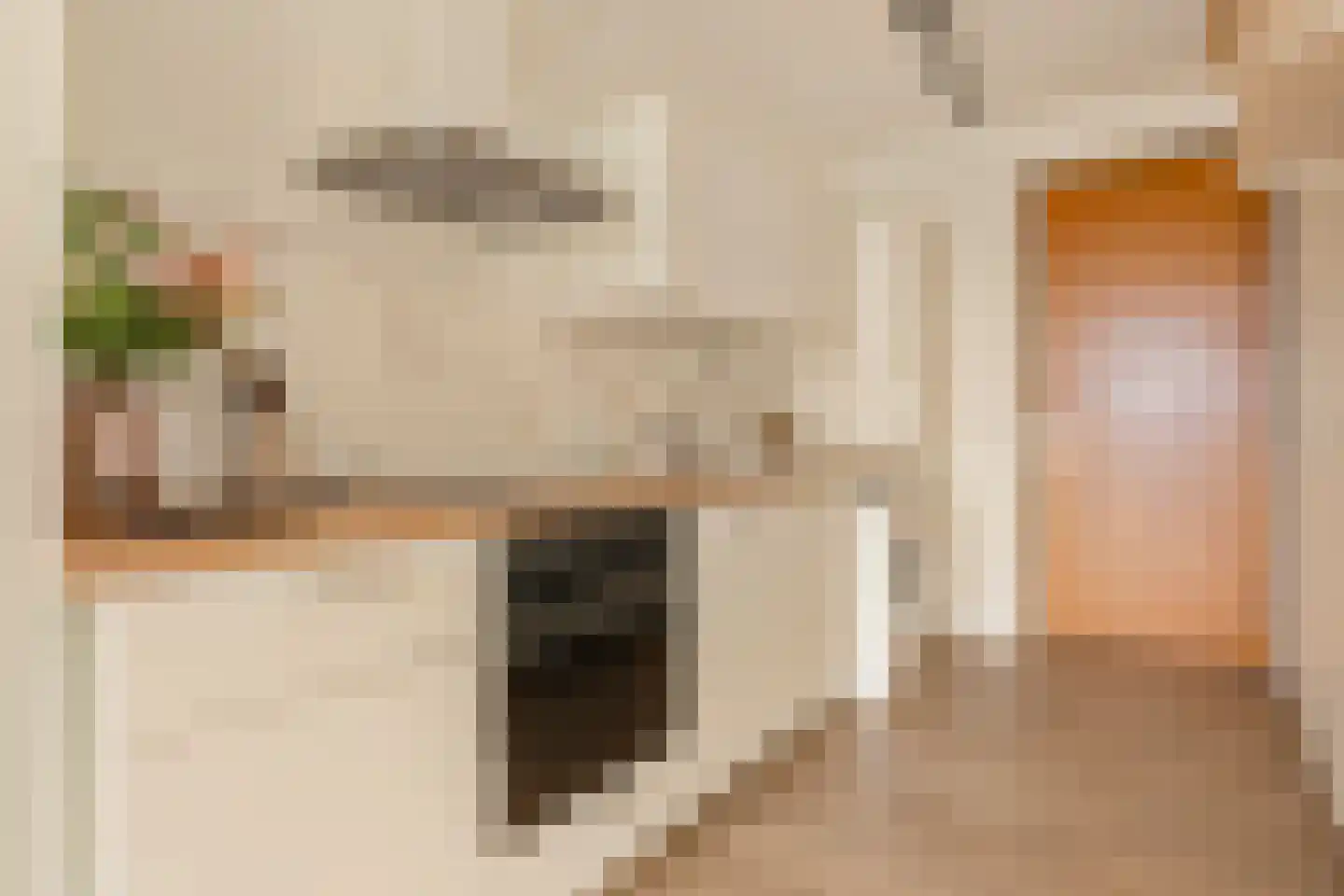 Welnastraat 489 Amsterdam thumbnail 18