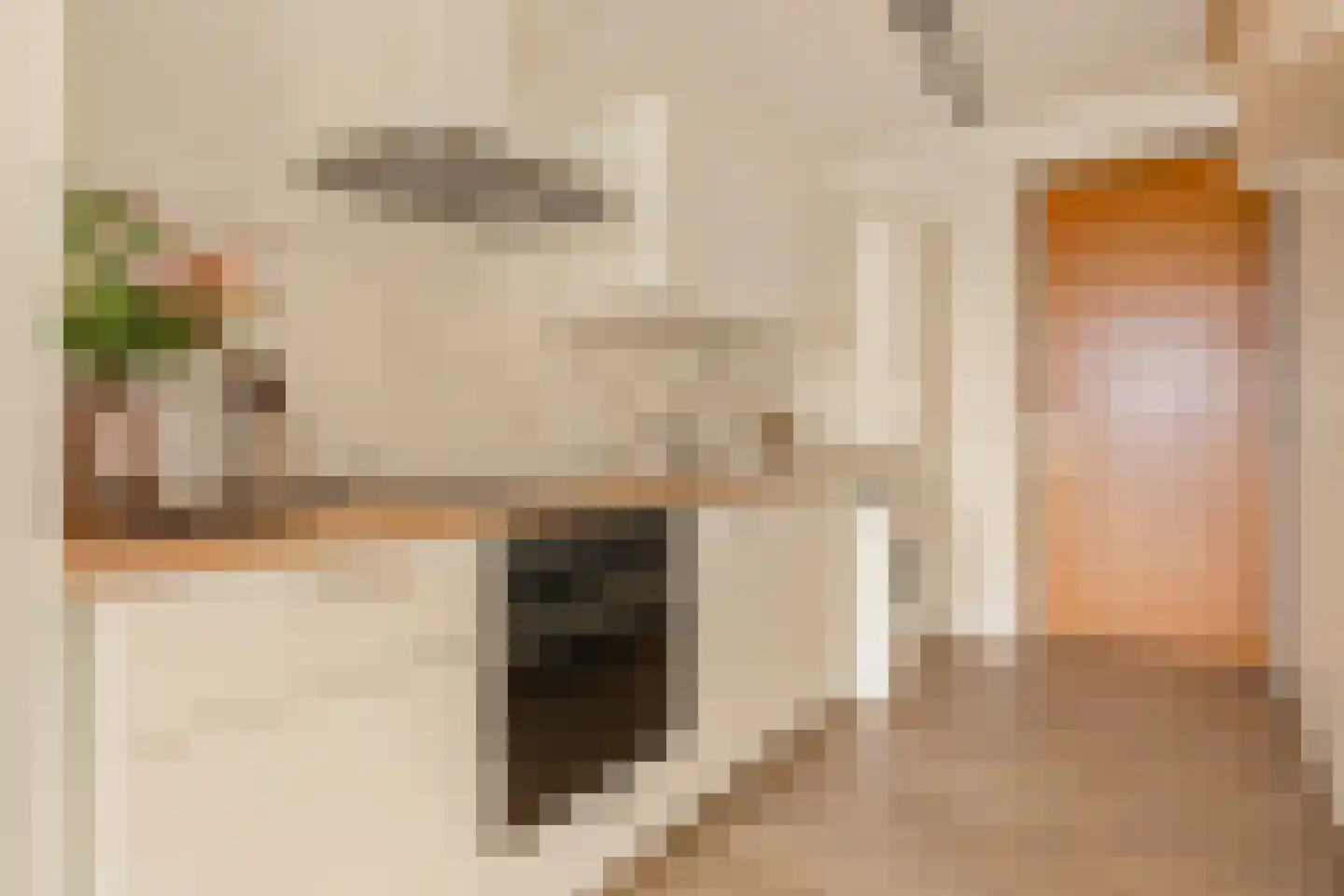 Welnastraat 489 Amsterdam thumbnail 18