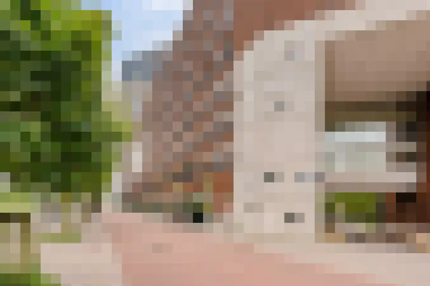 Welnastraat 489 Amsterdam thumbnail 24