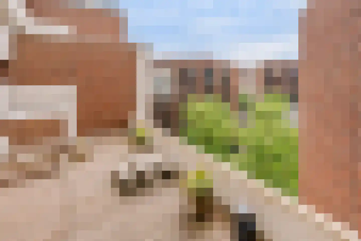 Welnastraat 489 Amsterdam thumbnail 28
