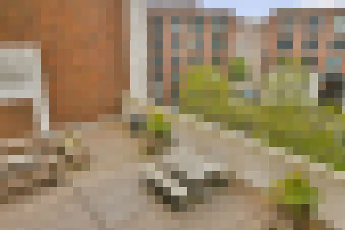 Welnastraat 491 Amsterdam thumbnail 15