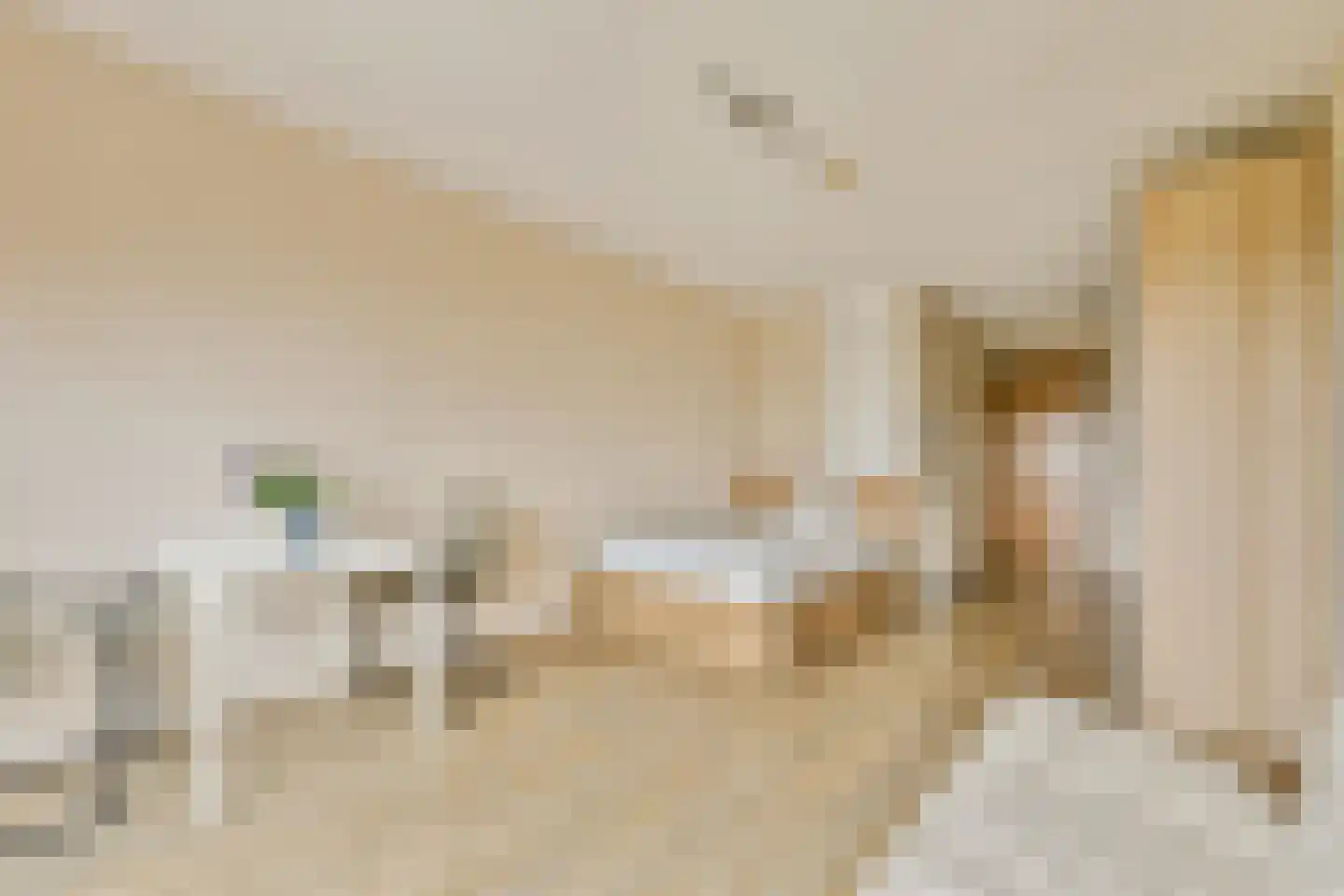 Welnastraat 491 Amsterdam thumbnail 6