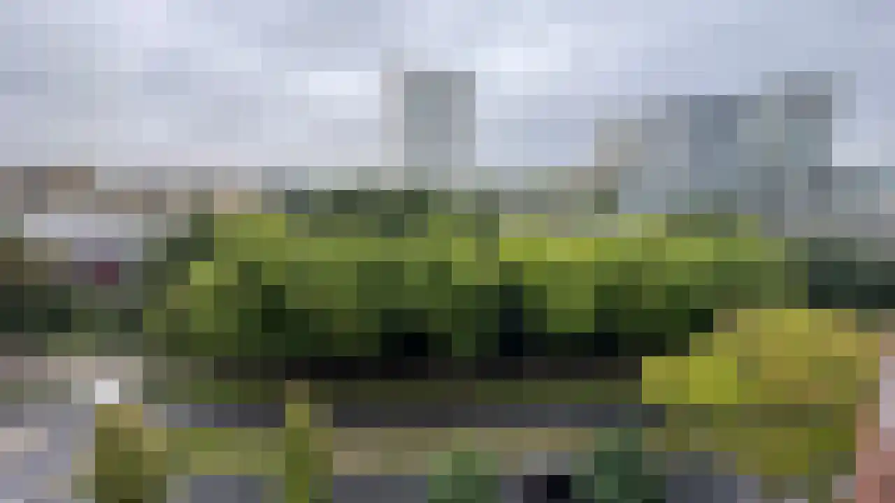 Welnastraat 497 Amsterdam thumbnail 10