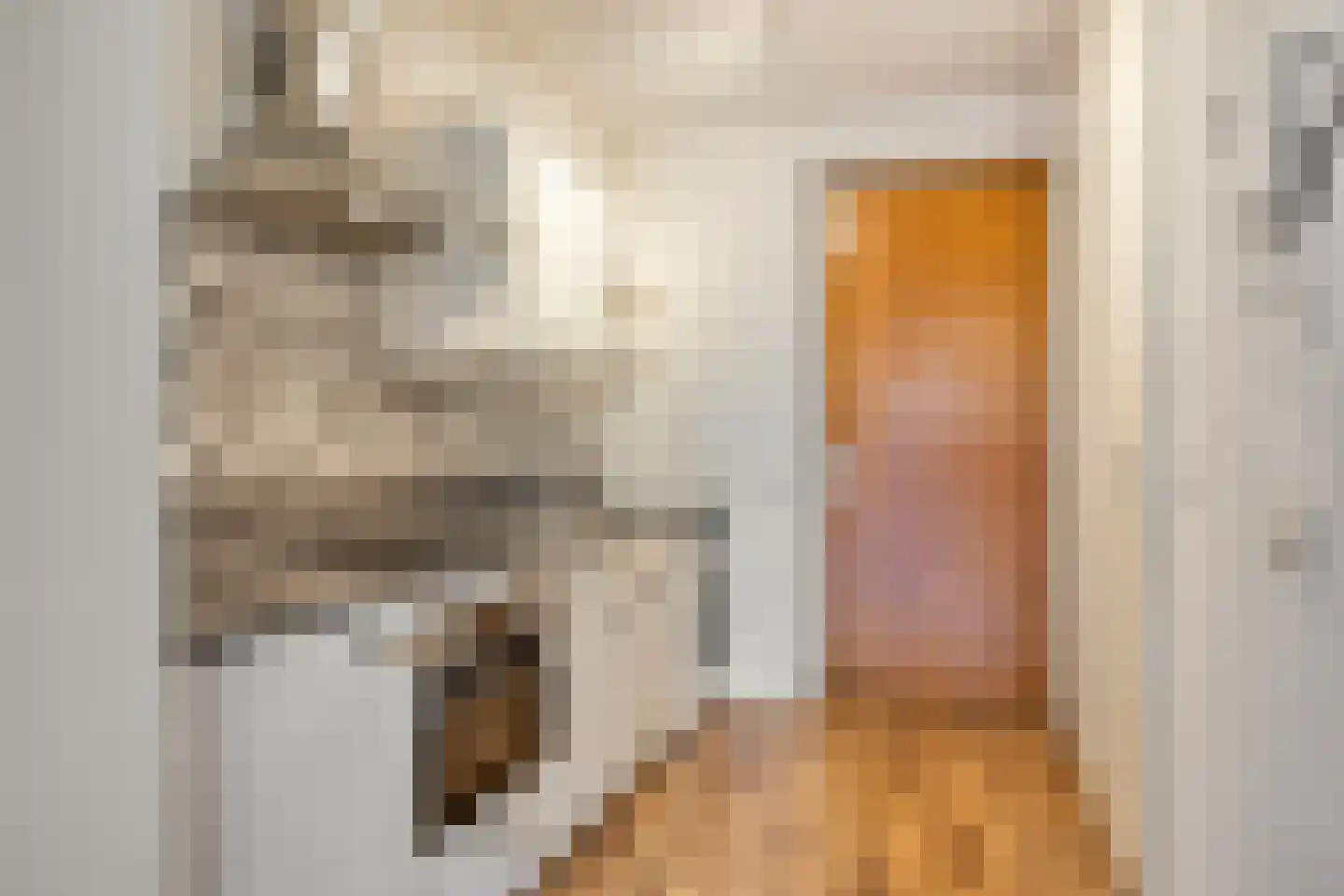 Welnastraat 5 Amsterdam thumbnail 12