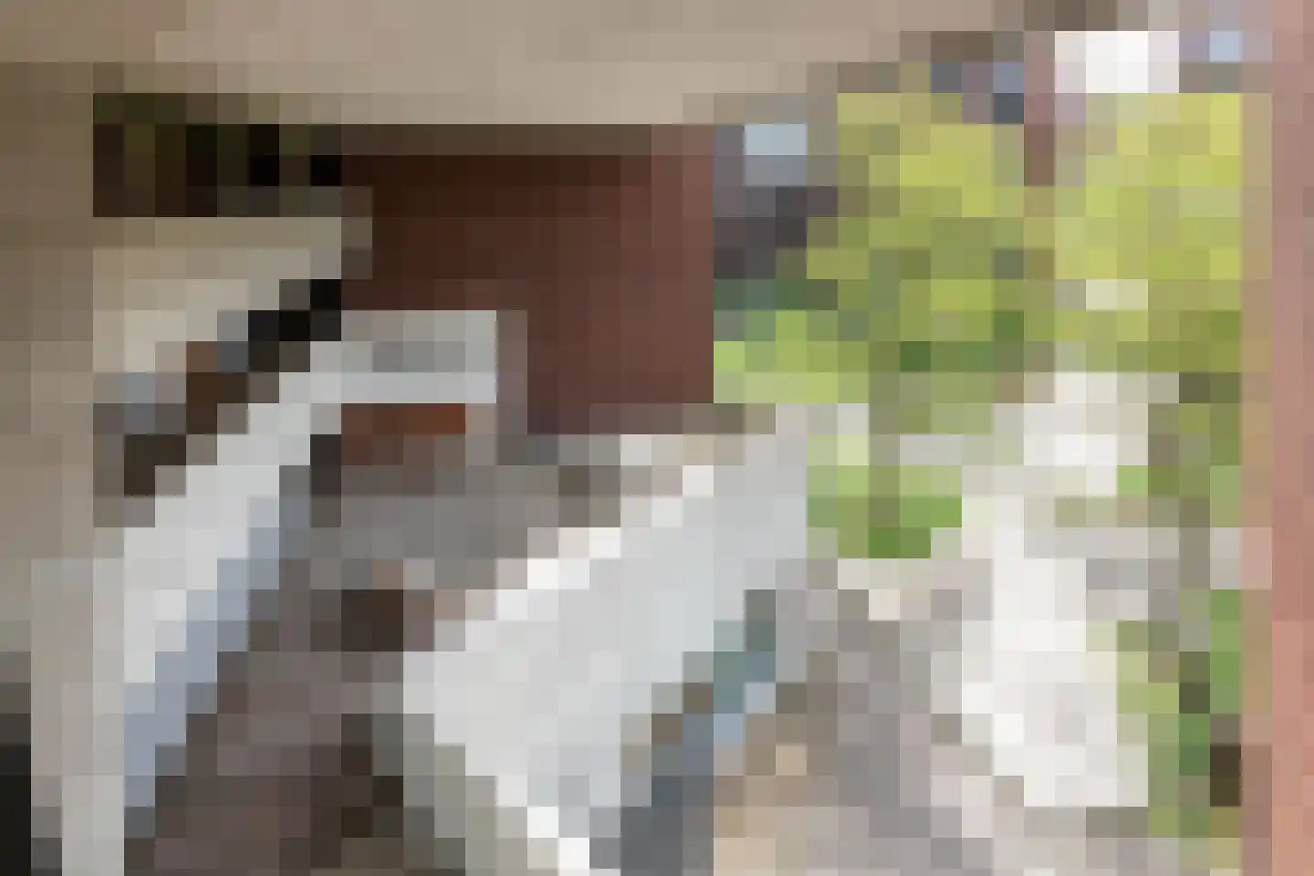 Welnastraat 517 Amsterdam thumbnail 12