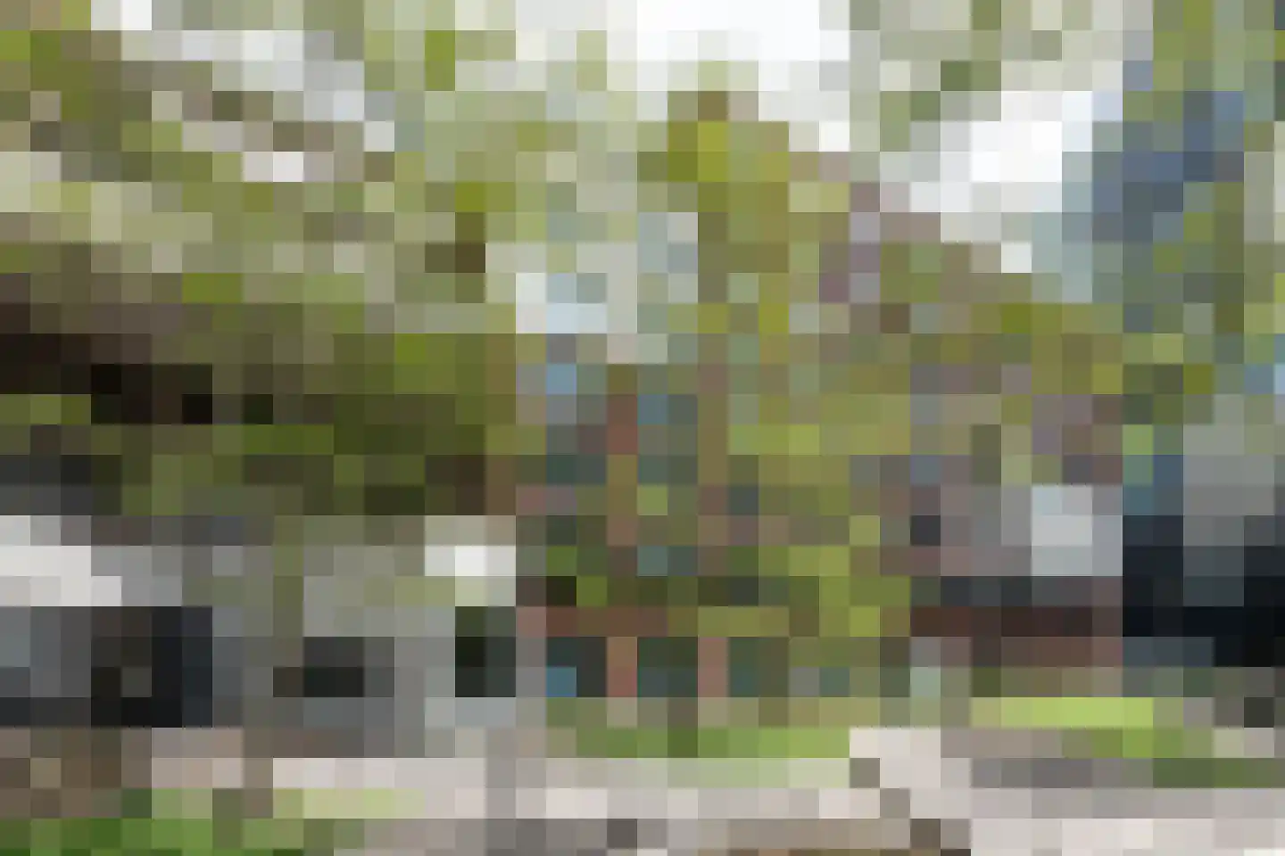 Welnastraat 517 Amsterdam thumbnail 17
