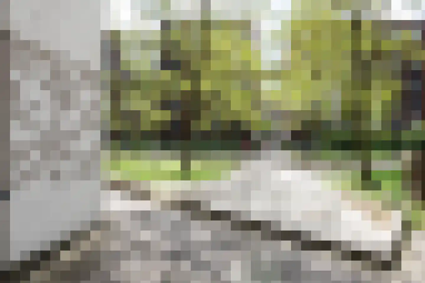 Welnastraat 517 Amsterdam thumbnail 18
