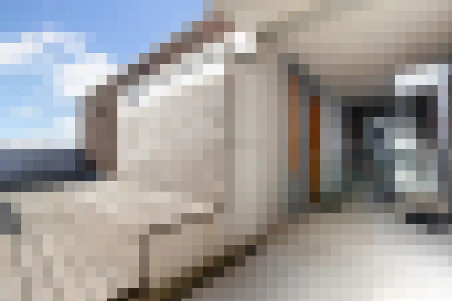 Welnastraat 649 Amsterdam thumbnail 30