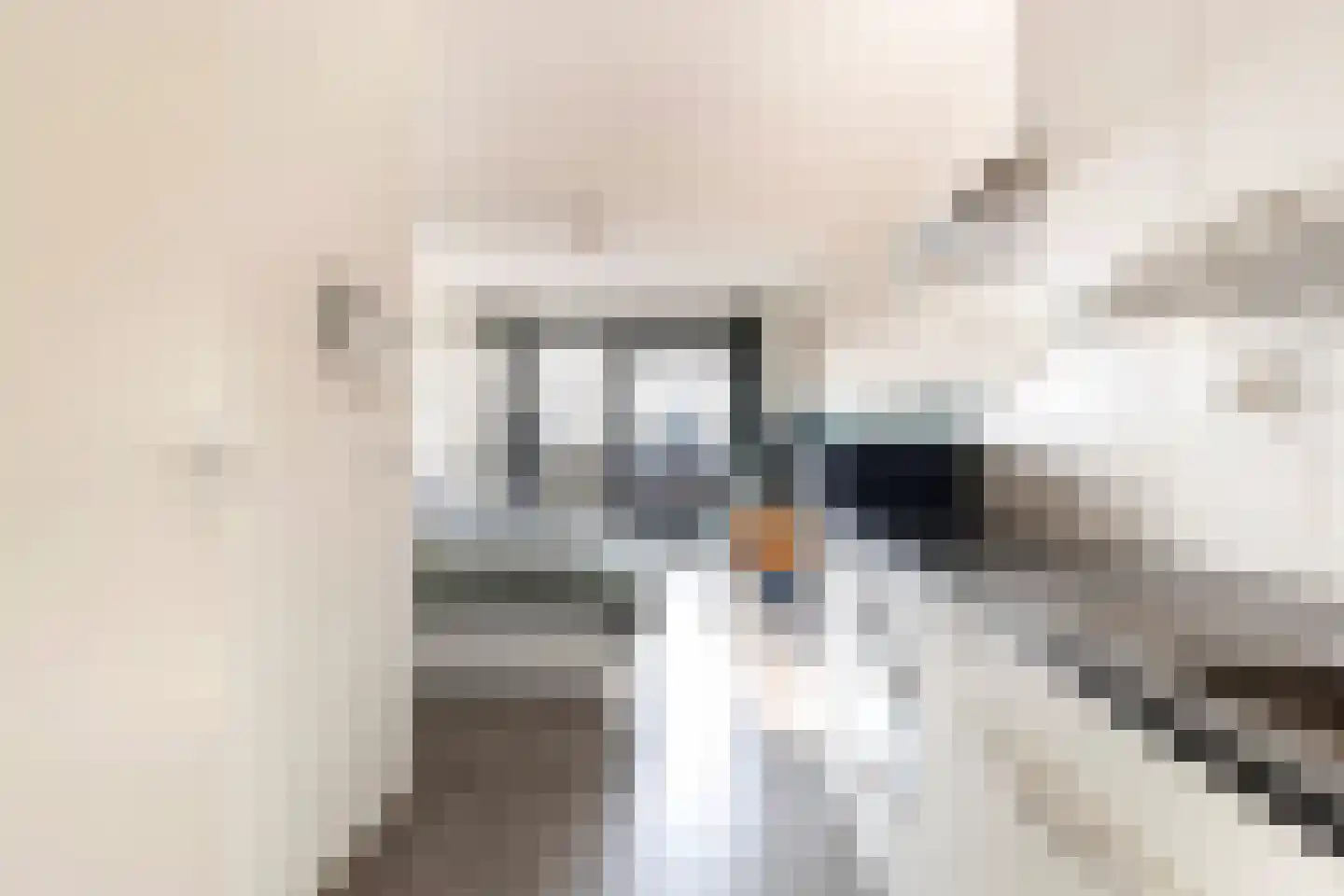 Welnastraat 649 Amsterdam thumbnail 9