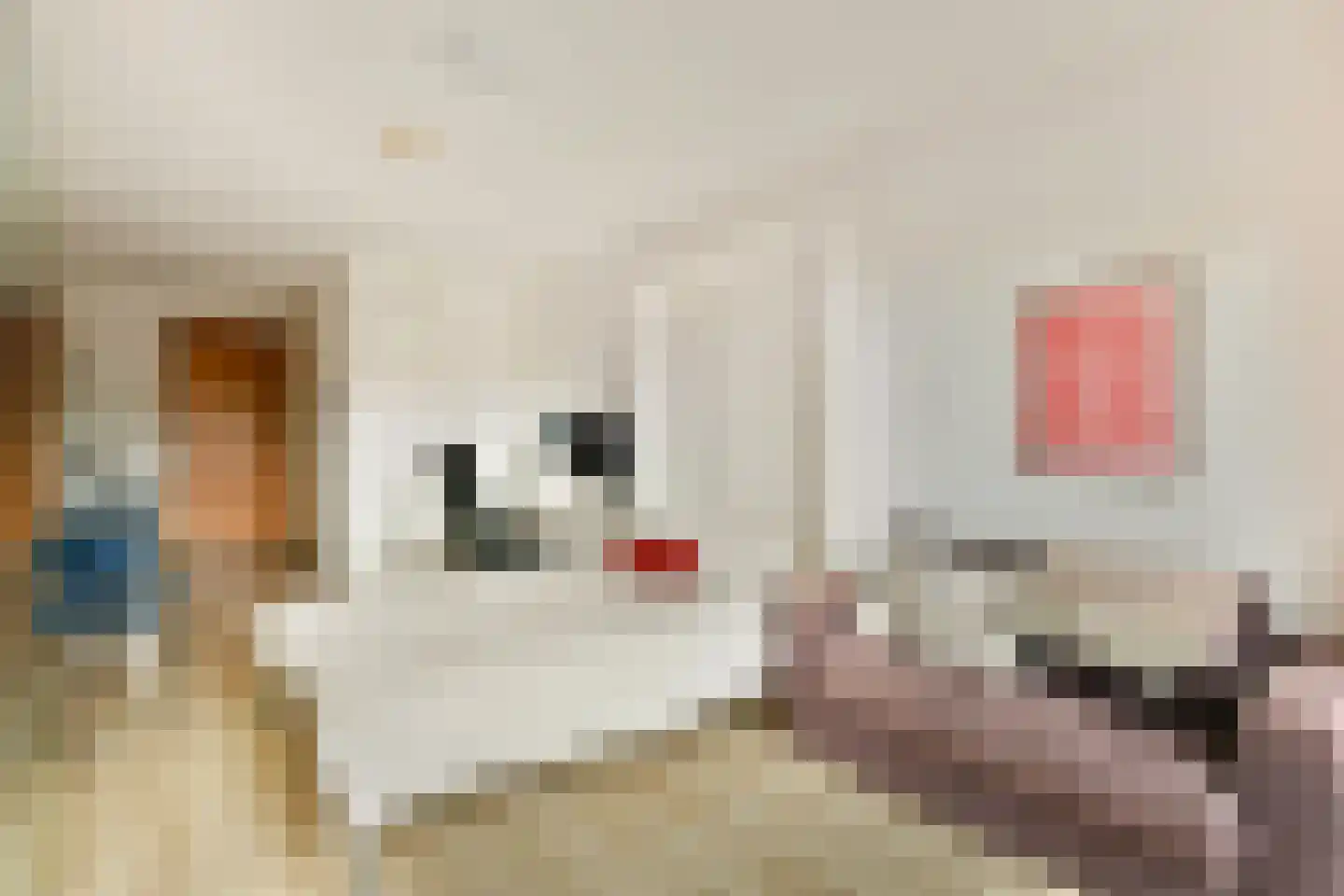 Welnastraat 89 Amsterdam thumbnail 10